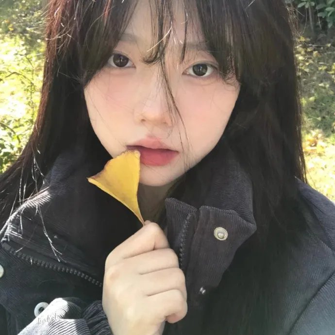 极地熊踪