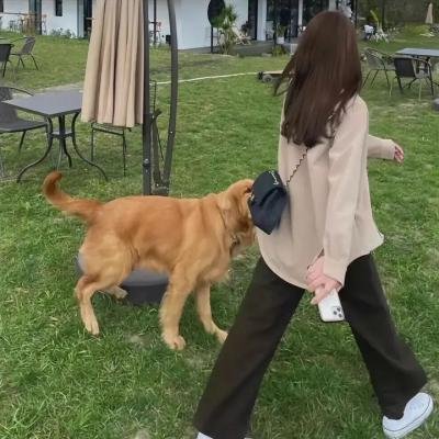 好汉林松
